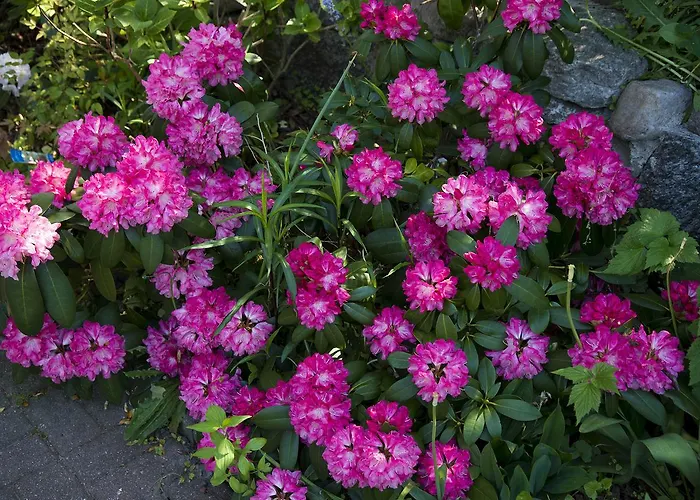 Stadtvilla B Lägenhet